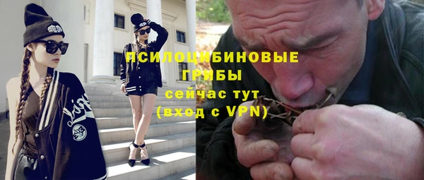 гидра Арсеньев