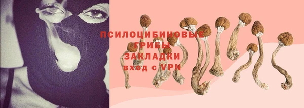 дмт Аркадак