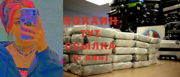 гидра Арсеньев