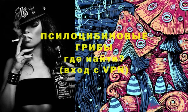 гидра Арсеньев