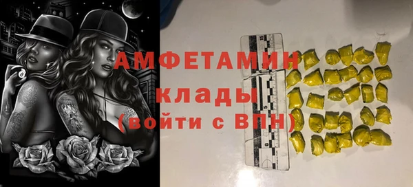 гидра Арсеньев