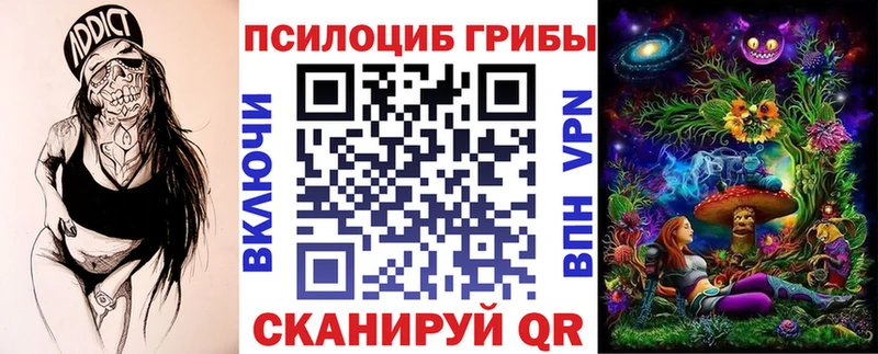 Купить  Людиново  Галлюциногенные грибы Psilocybine cubensis 